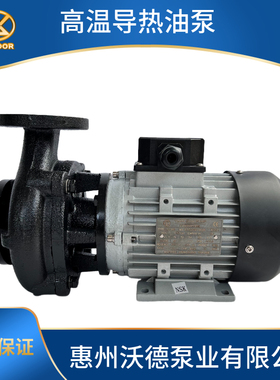 TECOTA MOTORI元新油泵YS-36B高温200度导热油泵 油温机循环泵