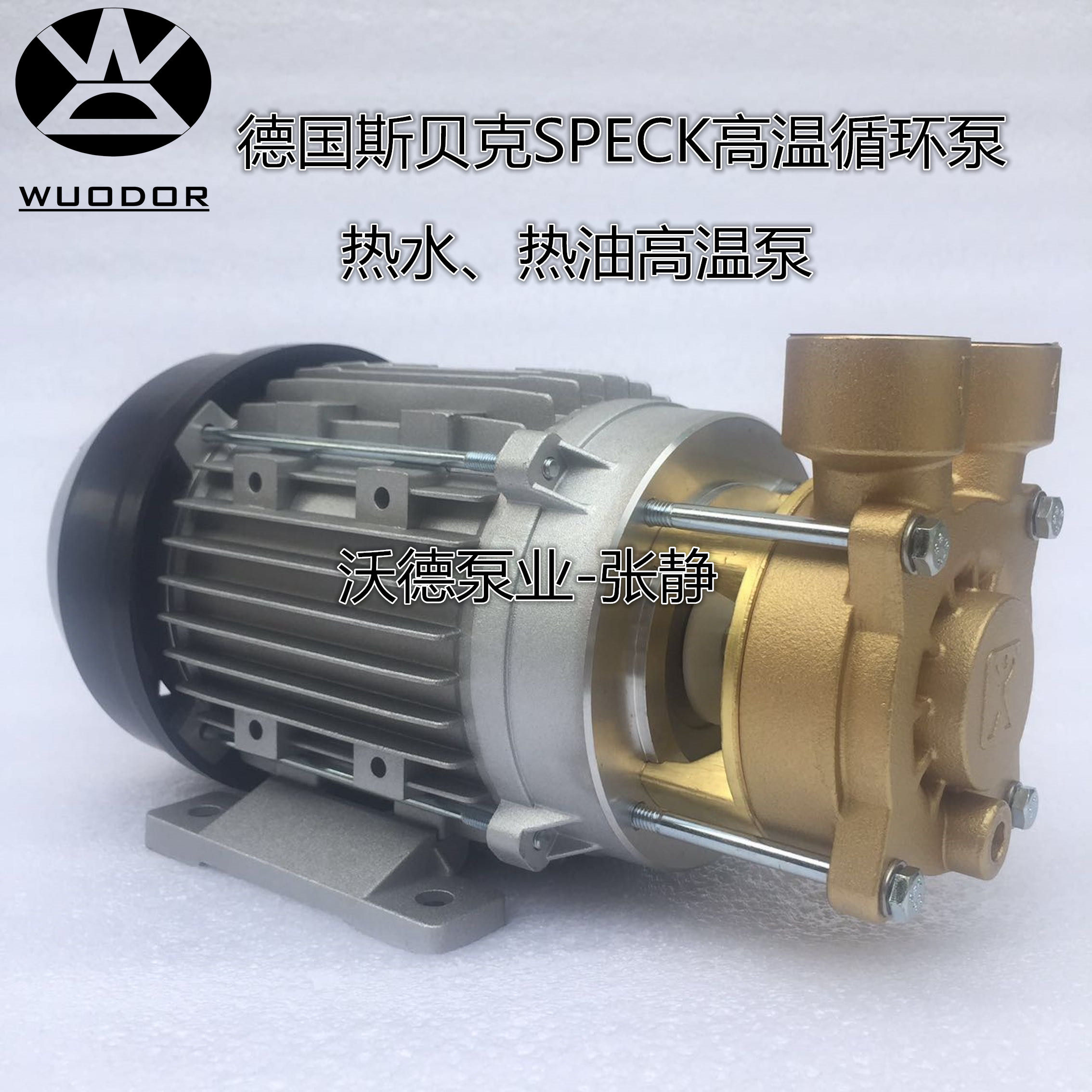 speck德国斯贝克高温泵 y-4081.2013热水泵 y-4081泵 高温泵