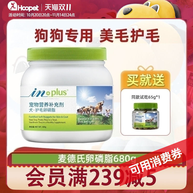 卵磷脂麦德氏萨摩耶狗狗