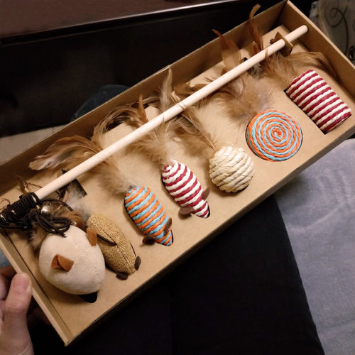 猫玩具礼盒7件套|每天不重样套