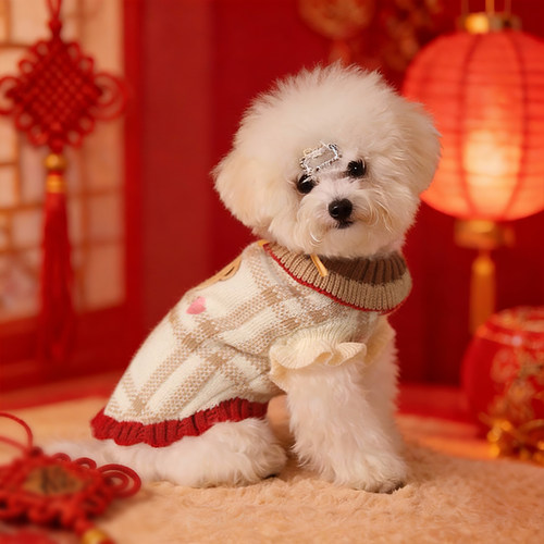 狗狗新年衣服冬装2026新款冬小狗