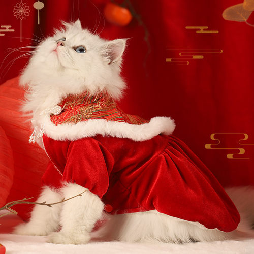 猫咪新年裙子冬季保暖