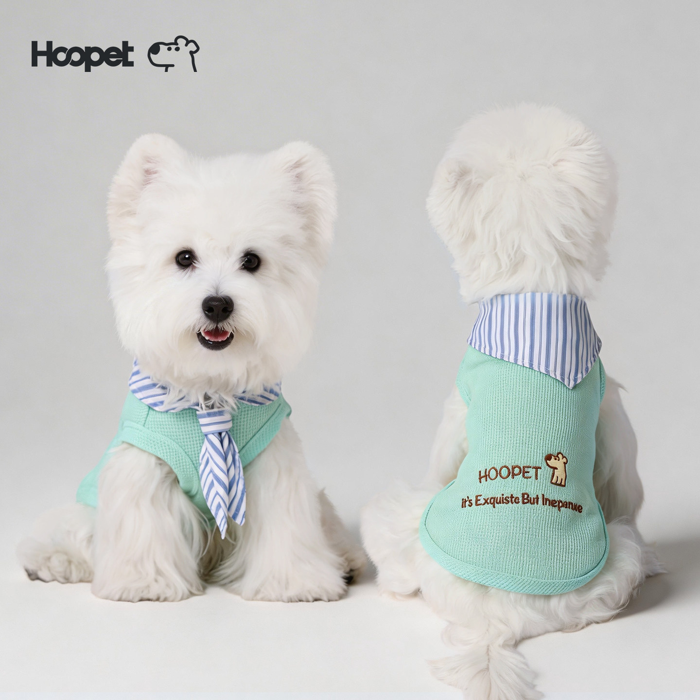 狗狗衣服夏天薄款背心小型犬比熊西高地春装小狗防掉毛宠物衣服