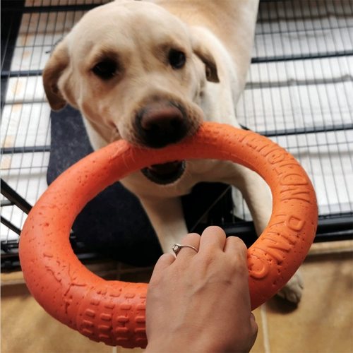 Игрушка для собак, зубы, укус, укус, пастырь, игрушки, большие собаки, золотые ретрад, игрушки