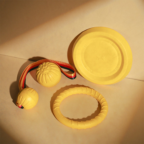 狗狗飞盘玩具球耐咬磨牙解闷