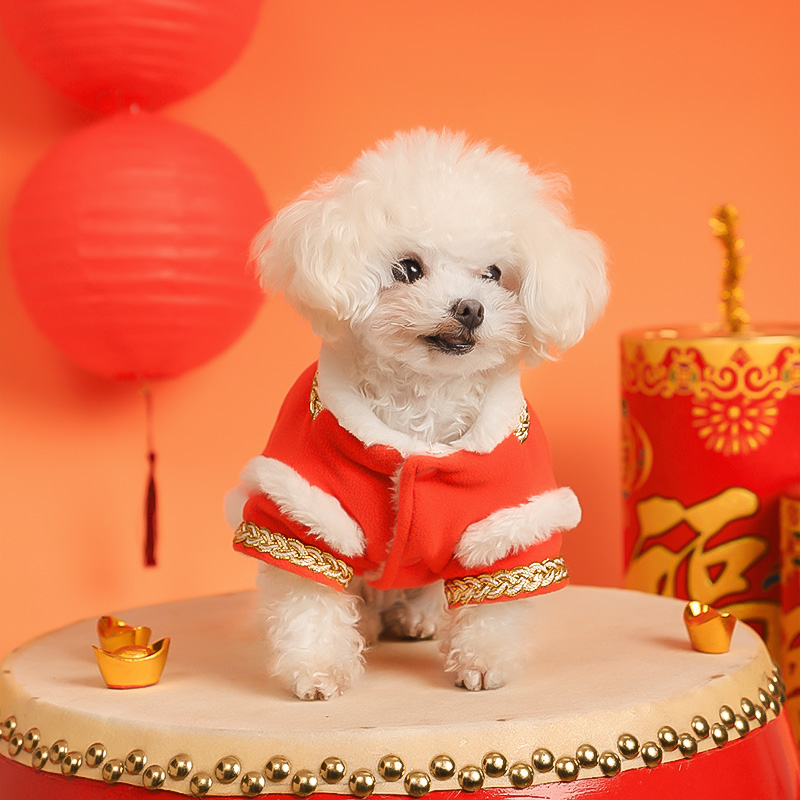 HOOPET宠物发财多金棉衣