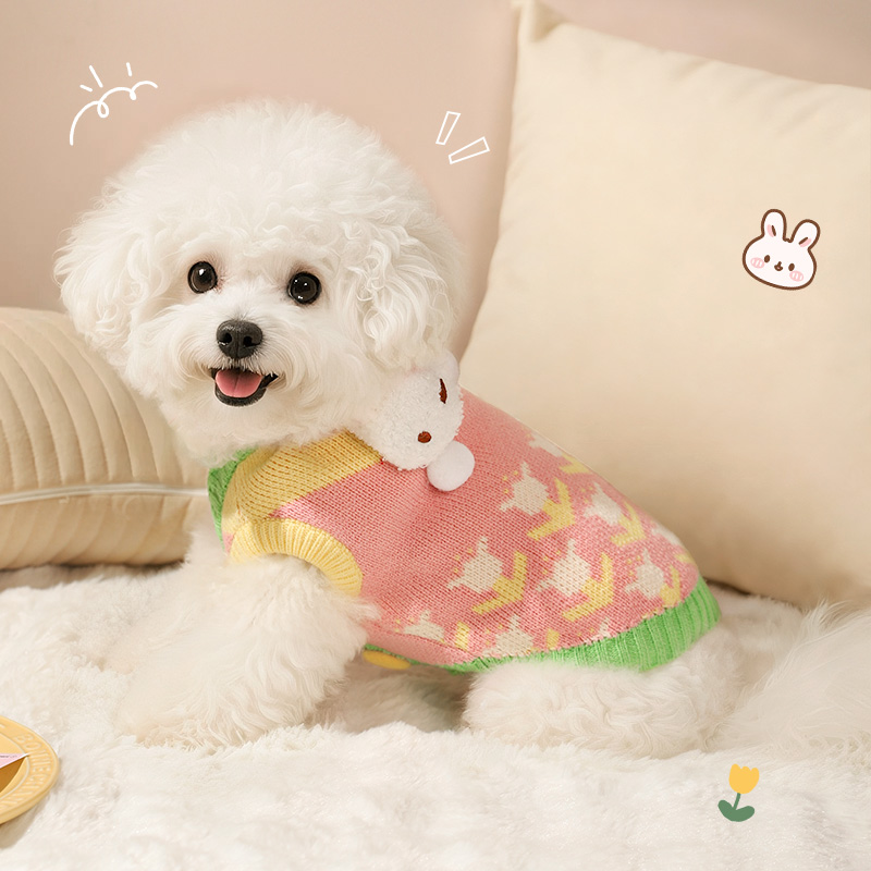 【现货速发】狗狗秋冬保暖毛衣