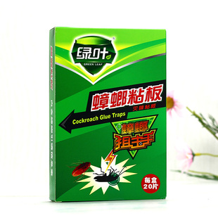 绿叶蟑螂粘板蟑螂药宾馆家用室内蟑螂贴20片