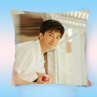 牛骏峰 抱枕头靠垫DIY来照片图片周边做抱枕节日礼物定制含枕芯。