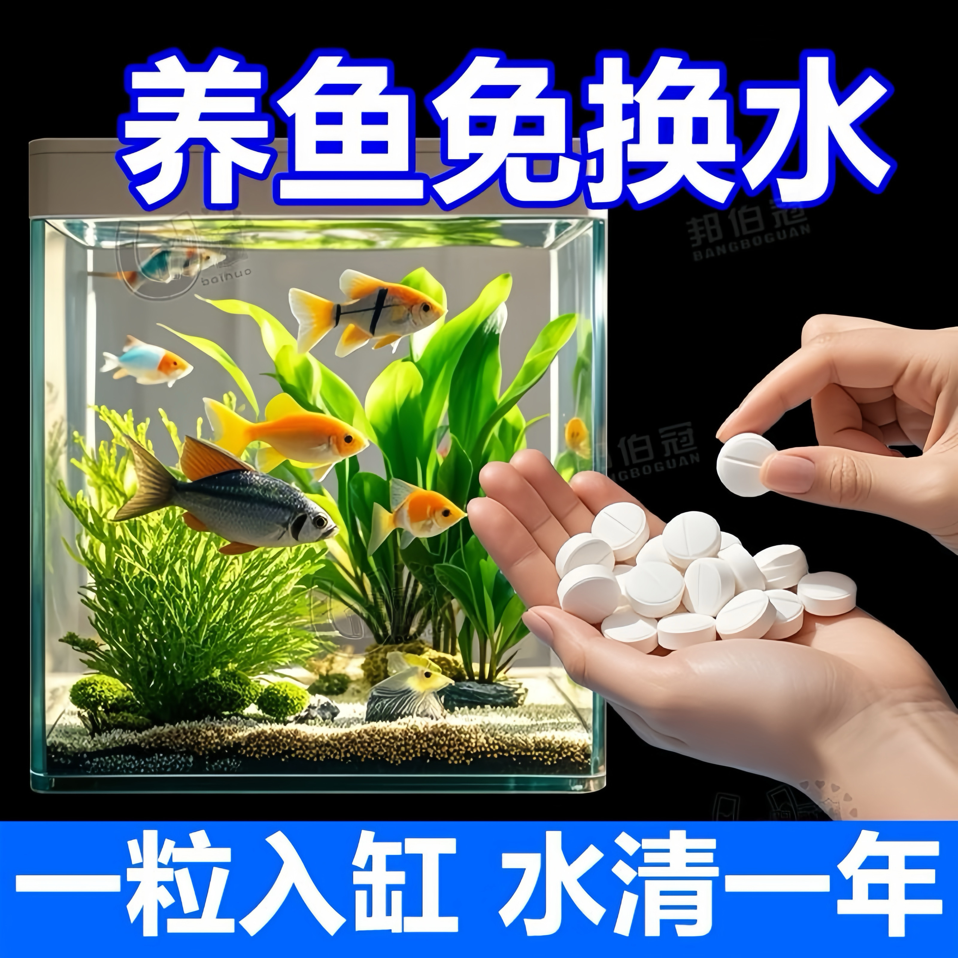 德国水族高分子净水片 不伤鱼去黄水绿水净水片 鱼缸净水护理套餐