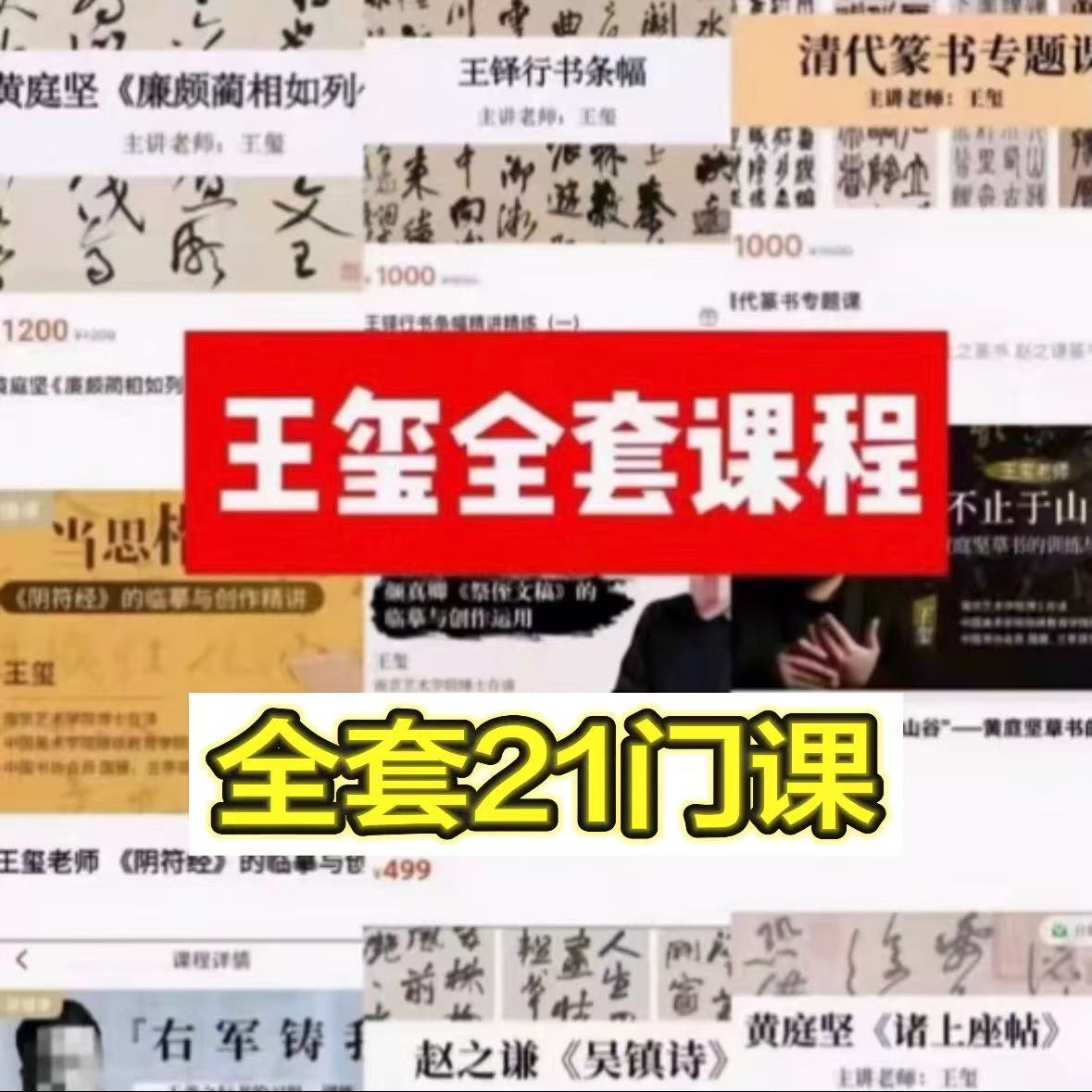 王玺王玺老师书法视频K程21套全集抖音同款百度网盘发货