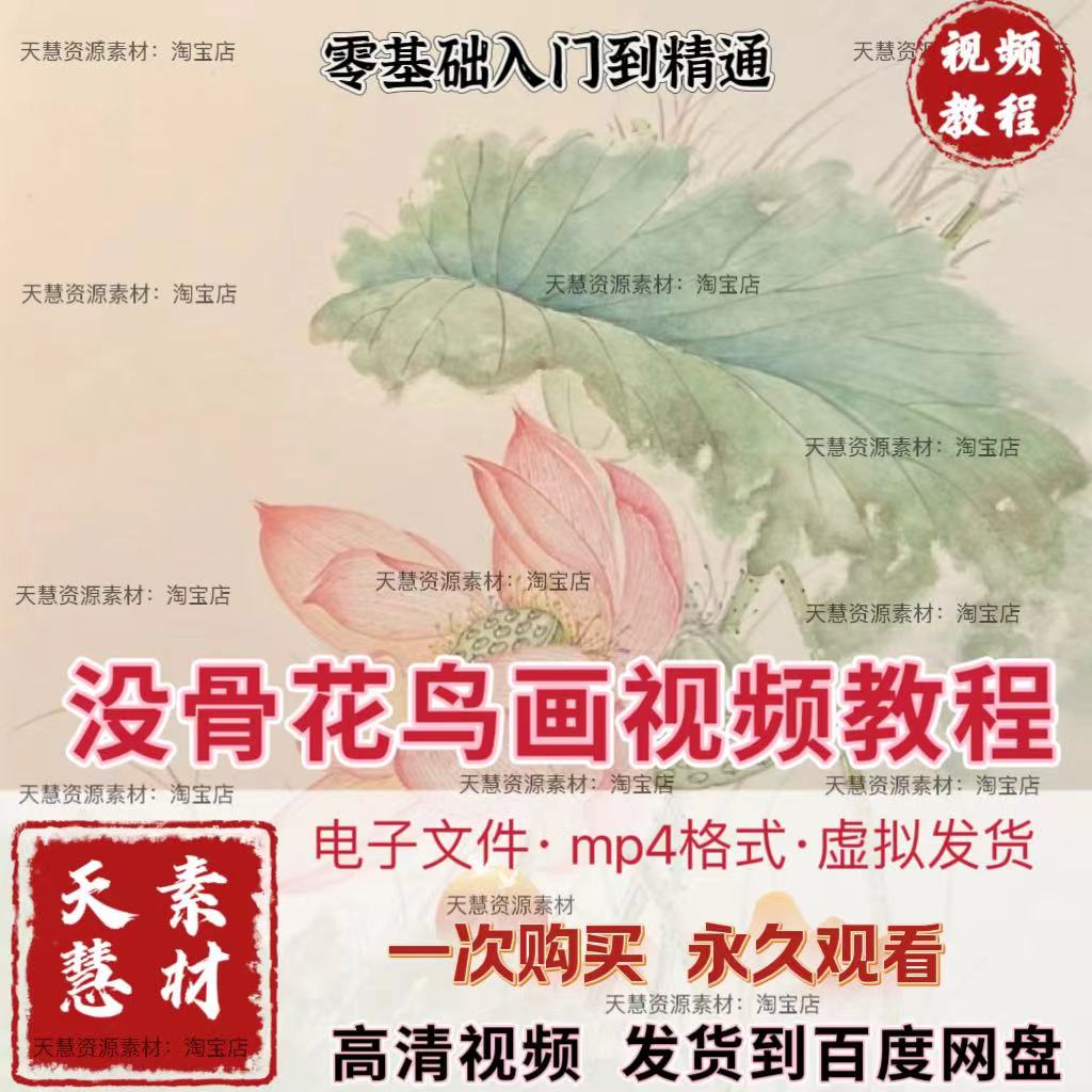 沒骨画零基础入门没骨花鸟技法视频自学电子版视频素材