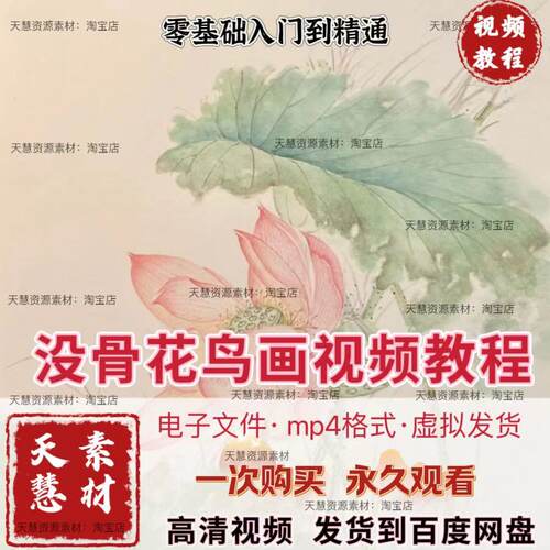 沒骨画零基础入门没骨花鸟技法视频自学电子版视频素材