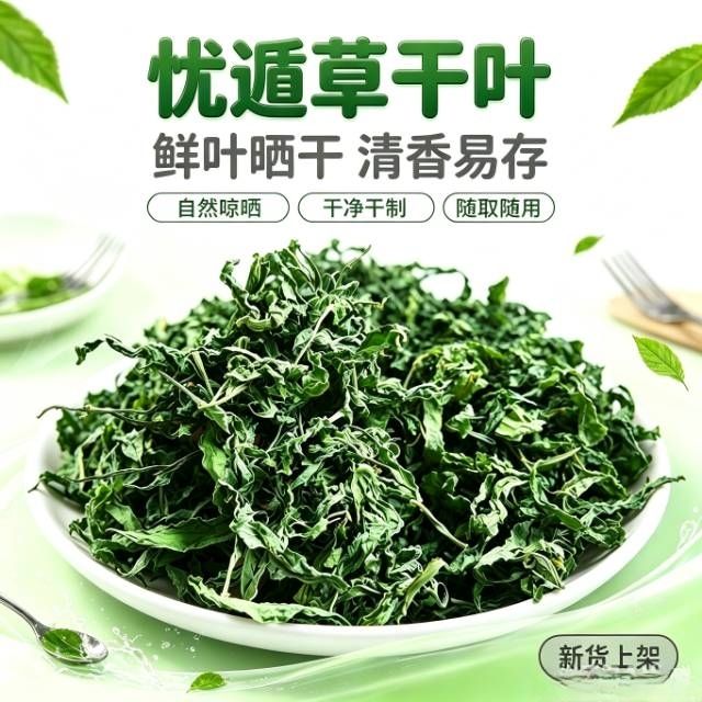 干叶纯野生忧顿草忧遁草茶优遁草粉剂鳄嘴花黎王草茶忧遁草新鲜