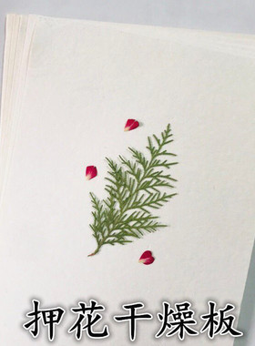 标本制作干花diy干燥板压花板