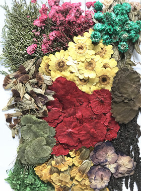 手工干花顺峰压花押花滴胶diy