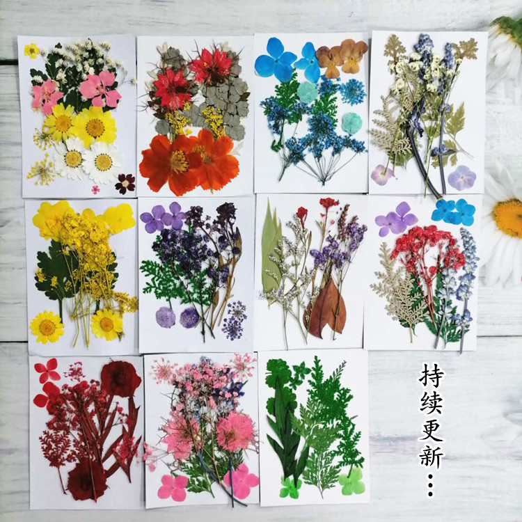 diy儿童植物标本滴胶拍摄干花包