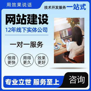 高端网站开发制作建设搭建网站模板企业网站制网站设计搭建一条龙