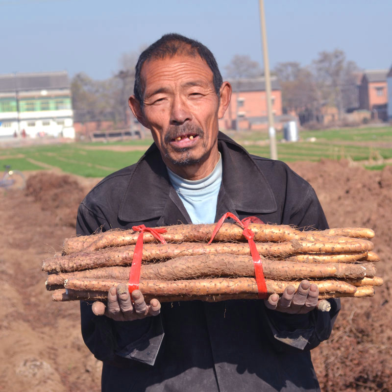 干面糯香正宗怀山药坏单包赔