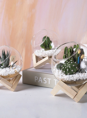 多肉微景观可爱风生态瓶定制刻字