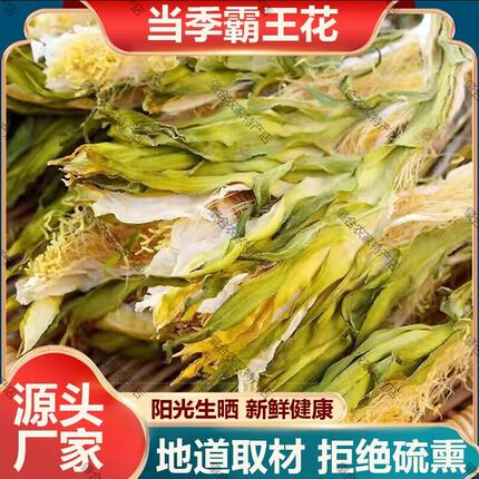 当季霸王花干货500g广东肇庆土特产剑花新鲜煲汤材料昙花农家自晒