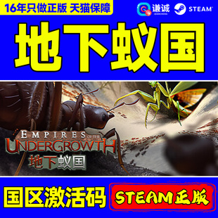 Steam游戏地下蚁国 Empires of the Undergrowth 国区激活码CDKey