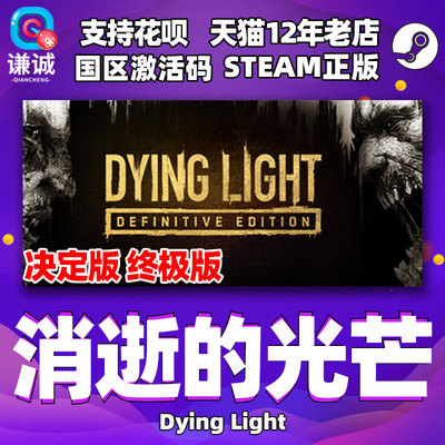 国区激活码正版消逝的光芒