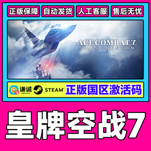 COMBAT 未知空域ACE SKIES 国区CDKey steam UNKNOWN 皇牌空战7