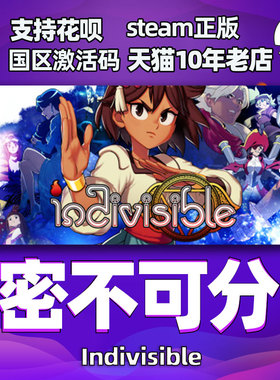 PC中文Steam 密不可分 Indivisible  角色扮演 动作 独立 国区激活码cdk