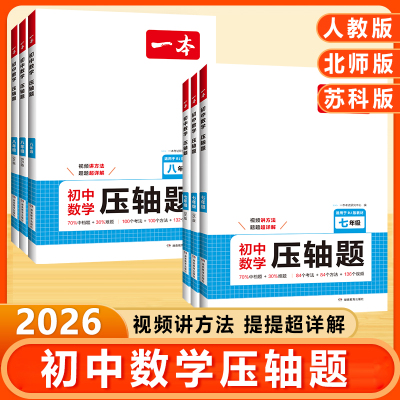 一本七八九年级数学压轴题人教版