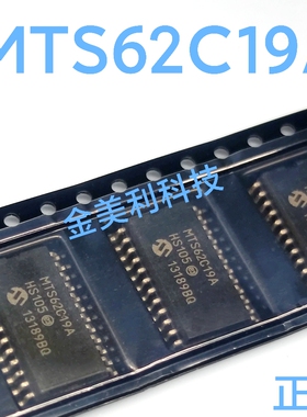 MTS62C19A 全新进口正品 马达/运动/点火控制器和驱动器 SOIC-24
