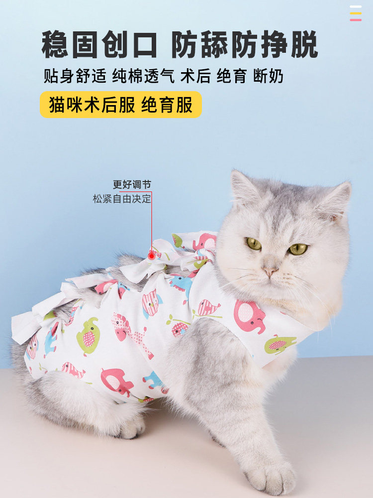 猫咪绝育服母猫绝育衣服手术服断奶柔软薄款系带术后猫咪防舔防咬