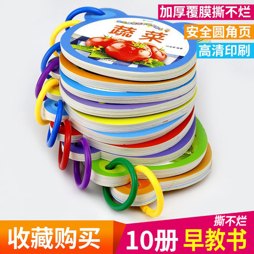 幼儿图识物教书宝宝学说话