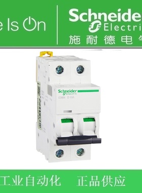 施耐德空开A9F19210/19216/19220/19225/19232/19240/19250/19263