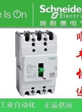 施耐德EZSS100E3080/3075/3060/3050/3040/3030/3020/3025/3100MA