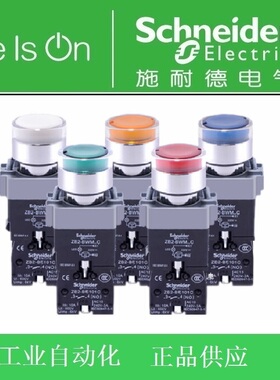 施耐德电气 带灯按钮XB2-BW31/33/34/35/36 B1C/M1C 自复位