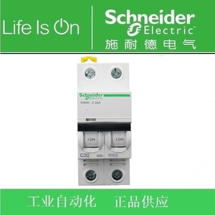 施耐德空开A9F18210/18216/18220/18225/18232/18240/18250/18263