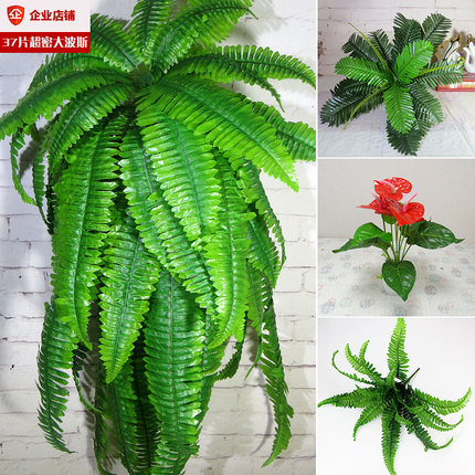 仿真绿植波斯草植物草坪背景墙装饰配件假花万年青绿萝叶吊兰红掌
