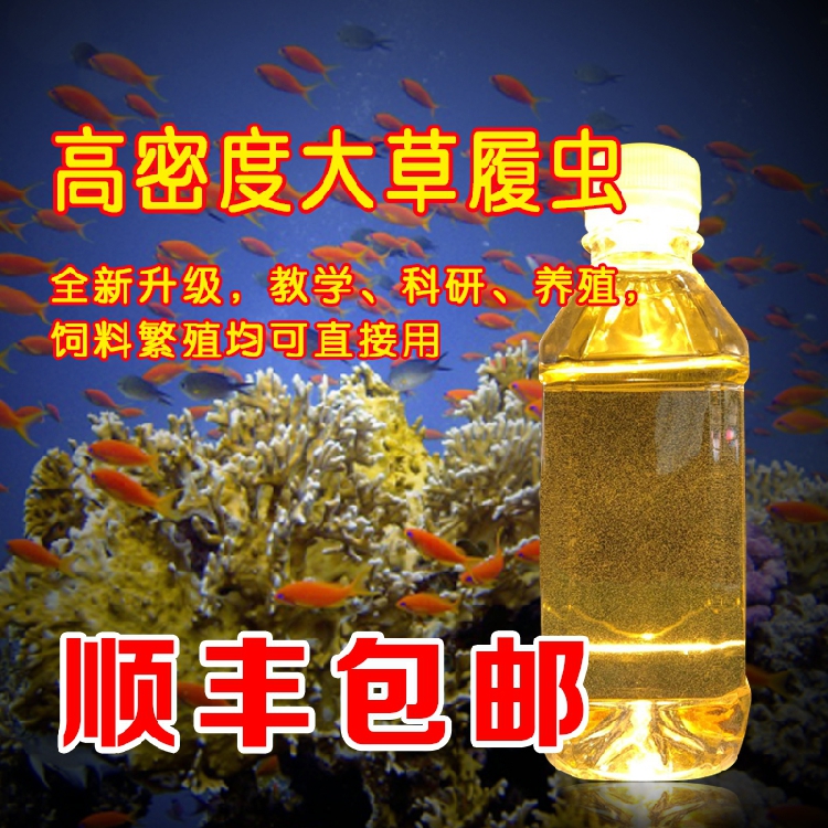 顺丰包邮高纯度高密度大草履虫洄水 鱼苗开口比丰年虾小 轮虫相当