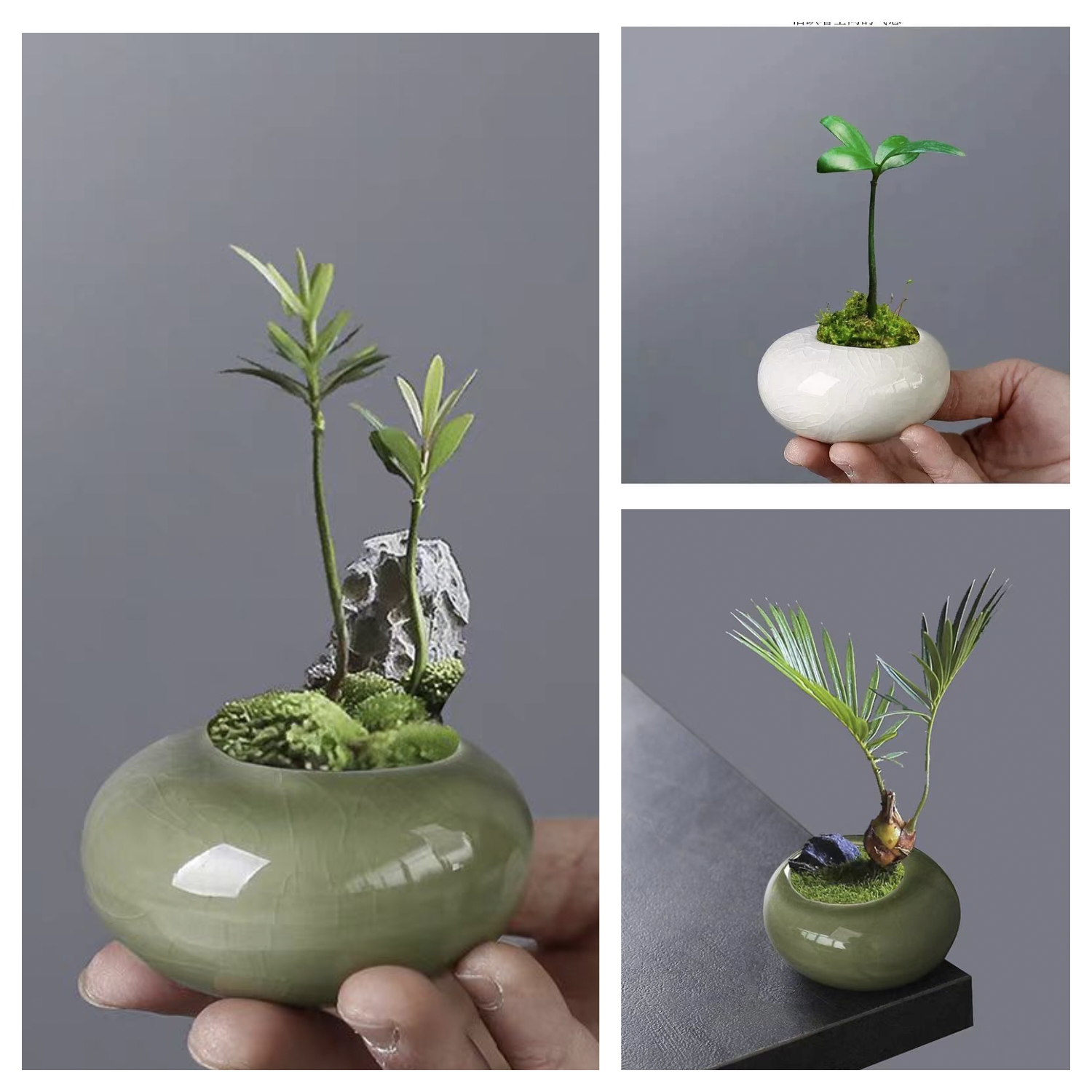 迷你小花盆栽景多肉桌面精致母指绿植竹柏创意圆扁冰裂釉陶瓷有孔