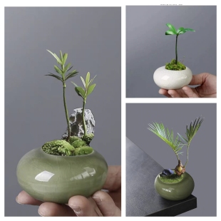 迷你小花盆栽景多肉桌面精致母指绿植竹柏创意圆扁冰裂釉陶瓷有孔