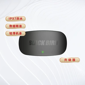 Blackbird Blackbird Двухмолковой частота сердечного ритма.