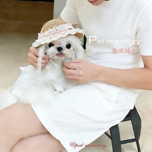 小红书爆款韩国ins宠物狗帽子遮阳帽草帽马尔济斯泰迪田园风装饰