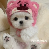 Милый плюшевый шлем, клубника, аксессуар для волос, кукла, шапка, домашний питомец, кот