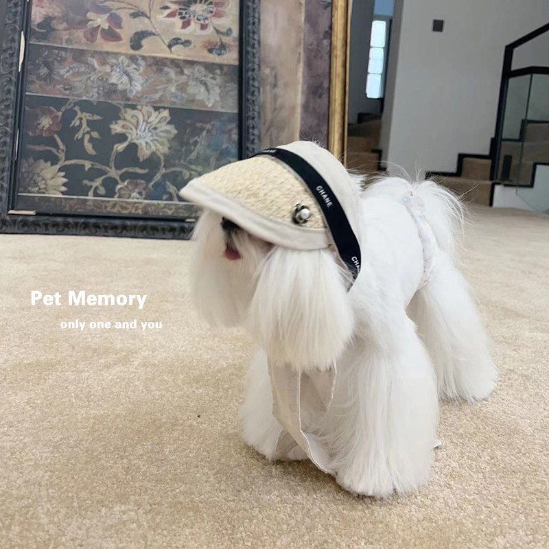 小红书爆款韩国ins宠物狗帽子遮阳帽草帽马尔济斯泰迪田园风装饰