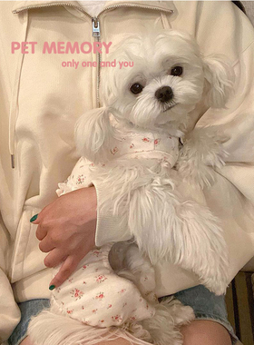 INS新款马尔济斯狗狗小碎花家居服秋冬猫咪粉色连体宠物针织衫