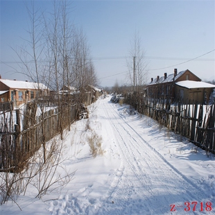 主播直播背景布农村冬季雪景村头树林小土路外景直播挂画布3d立体