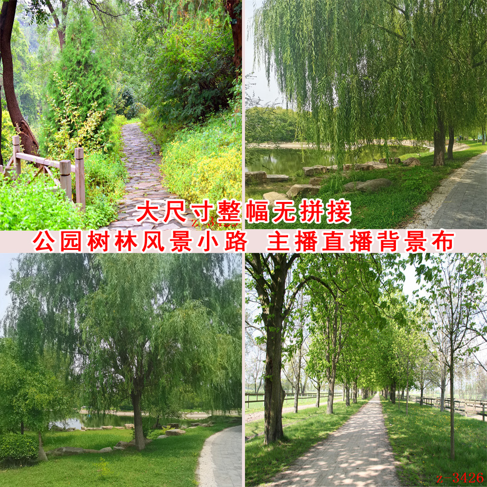 主播直播背景布公园小路树林3d