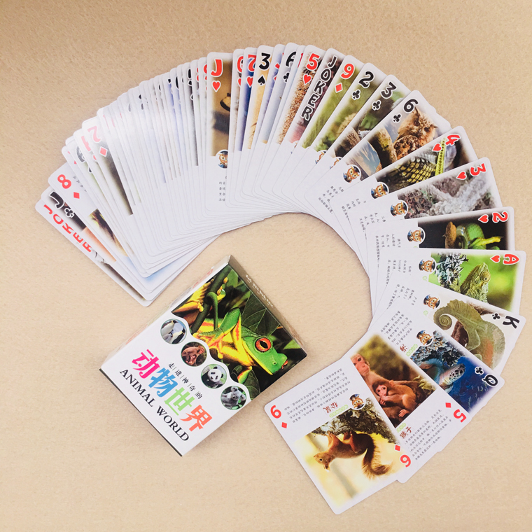动物世界创意大扑克牌