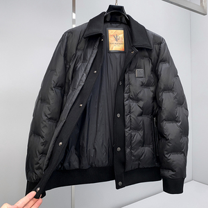 507P395 25冬季新款 90%白鸭绒刺绣翻领羽绒服  控598图片
